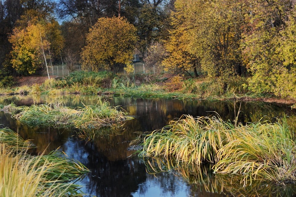 Photograph by Сергей Малашкин