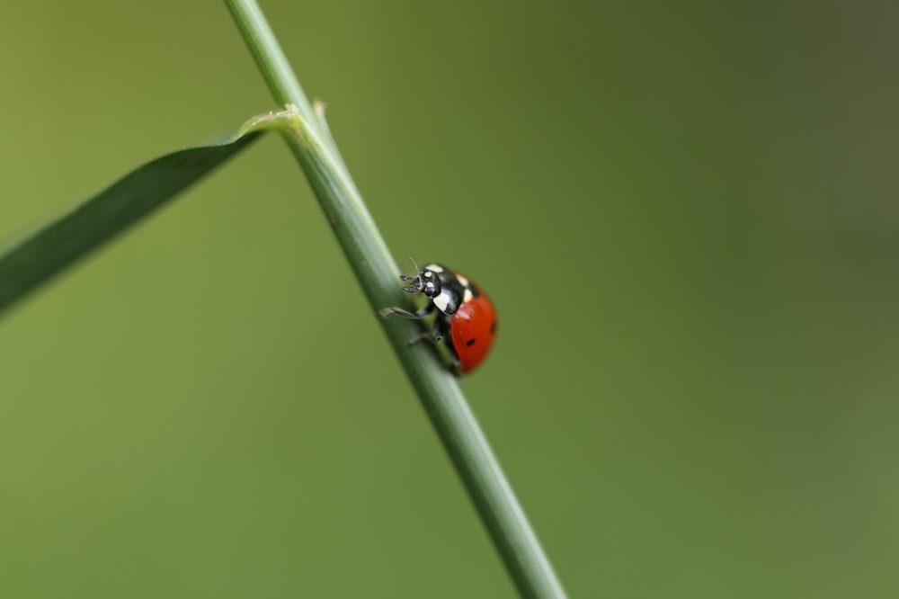 Photograph by Евгений Ким