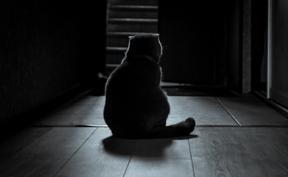 Фотография автора Денис Винарь