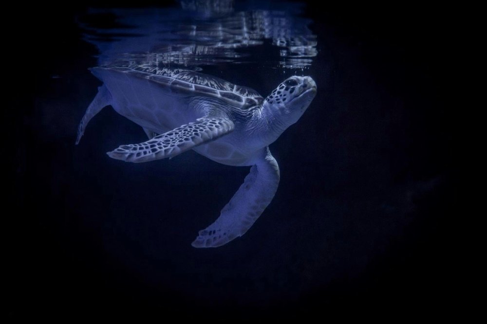 Фотография автора Денис Винарь