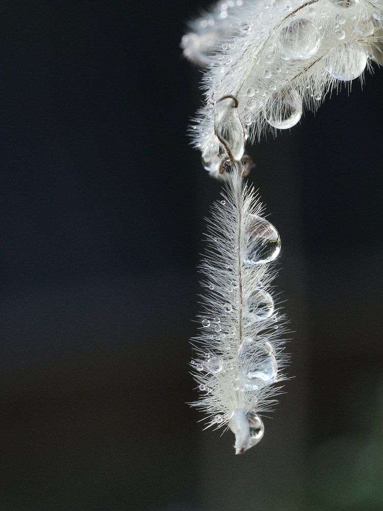 Photograph by Светлана Богомолова