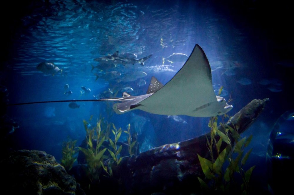 Фотография автора Денис Винарь