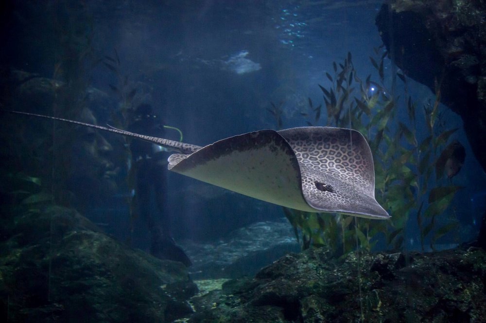 Фотография автора Денис Винарь