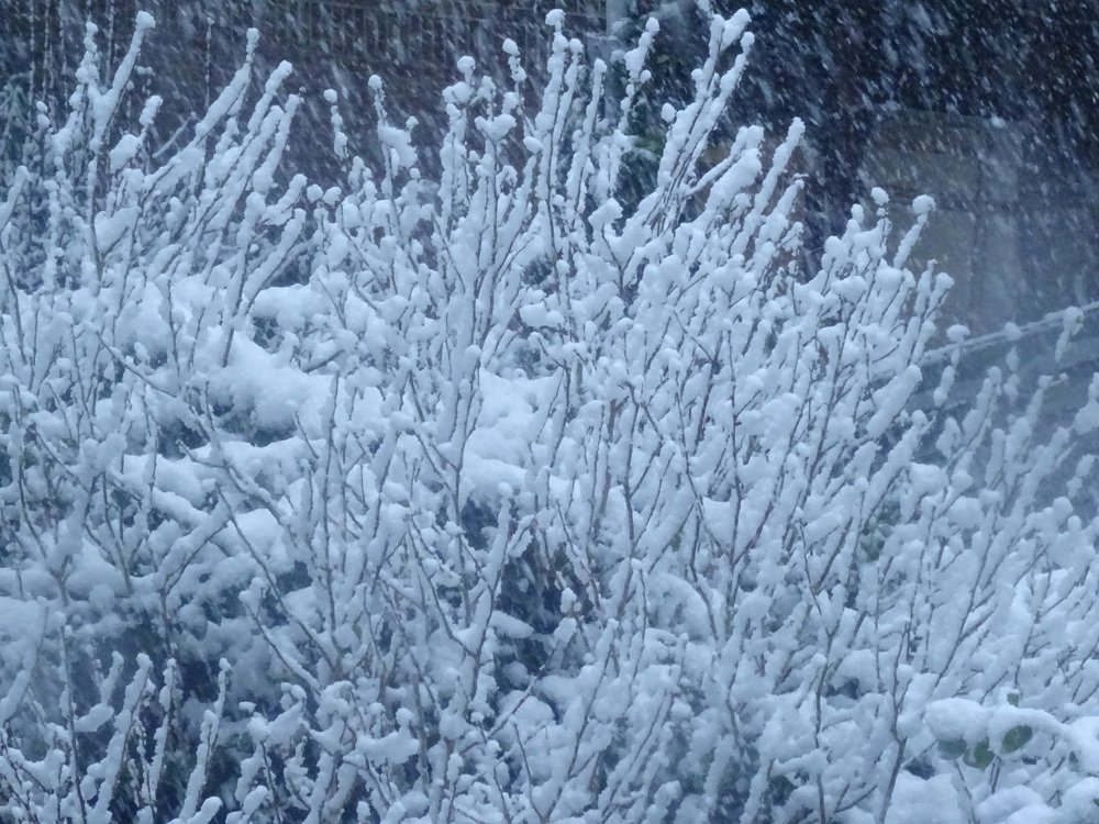 Photograph by Sona Sahakian