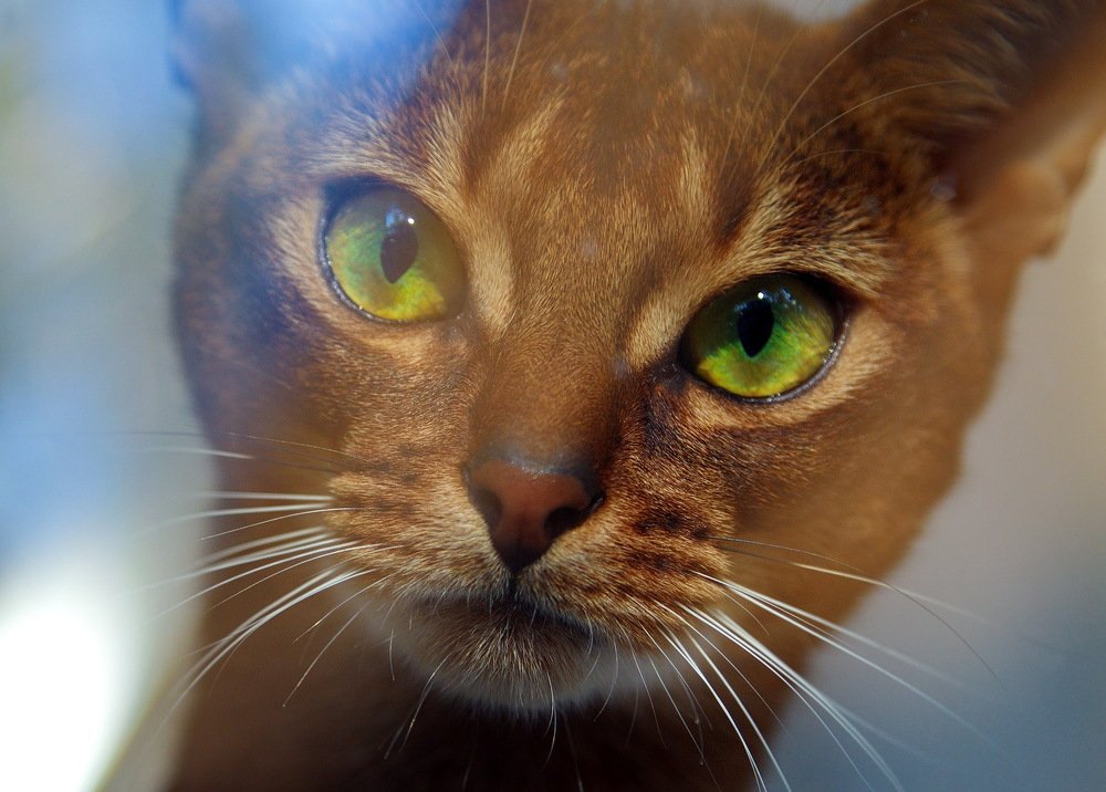 Photograph by Александр Столяров