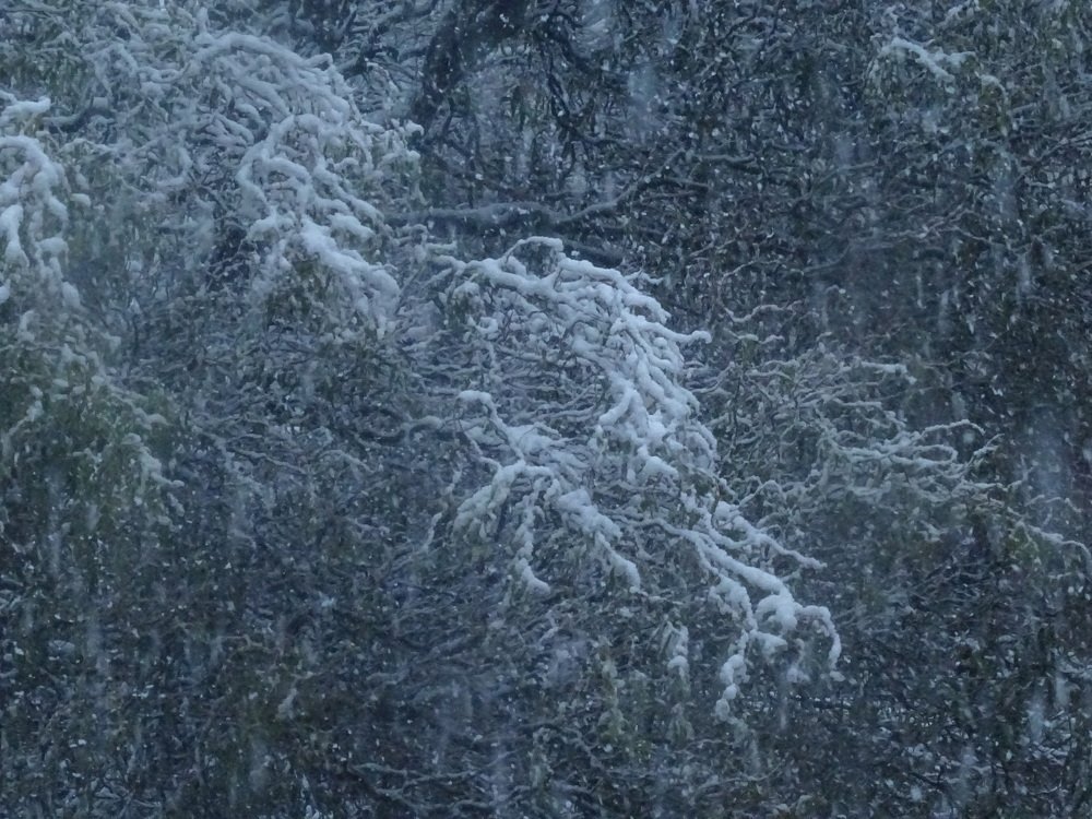 Photograph by Sona Sahakian