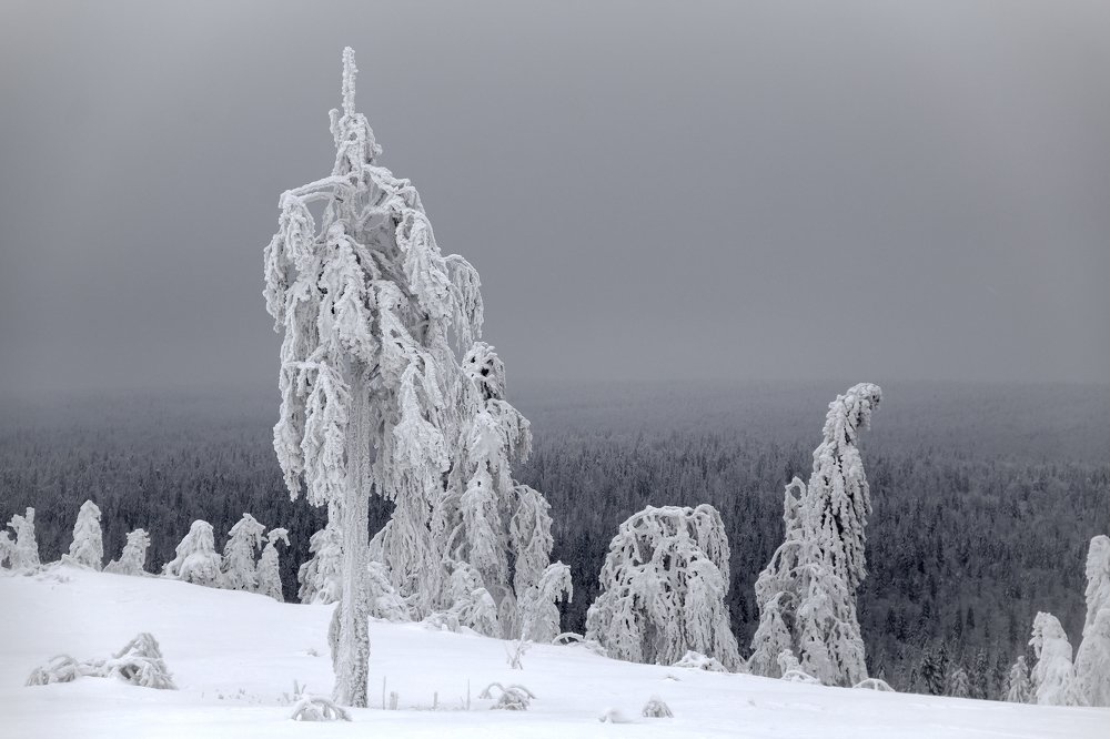 Photograph by Утёмов Сергей