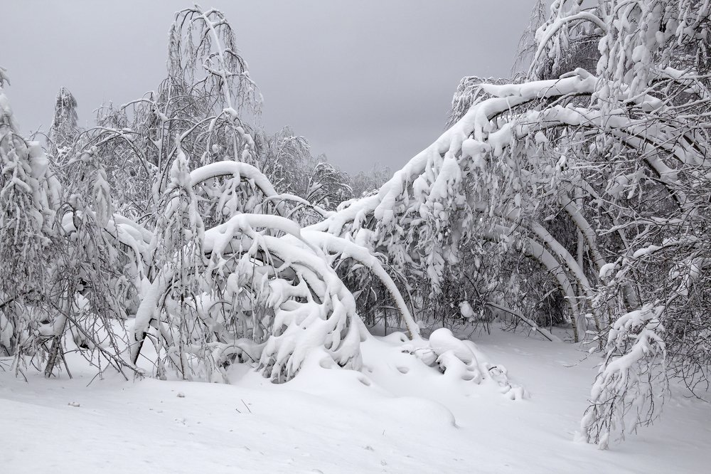 Photograph by Утёмов Сергей