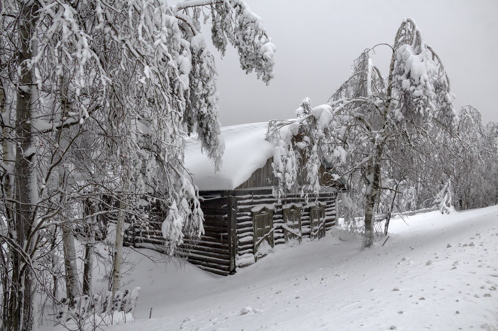 Photograph by Утёмов Сергей