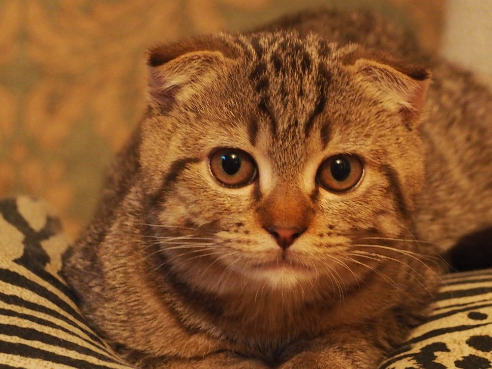 Photograph by Иван Скрипкин