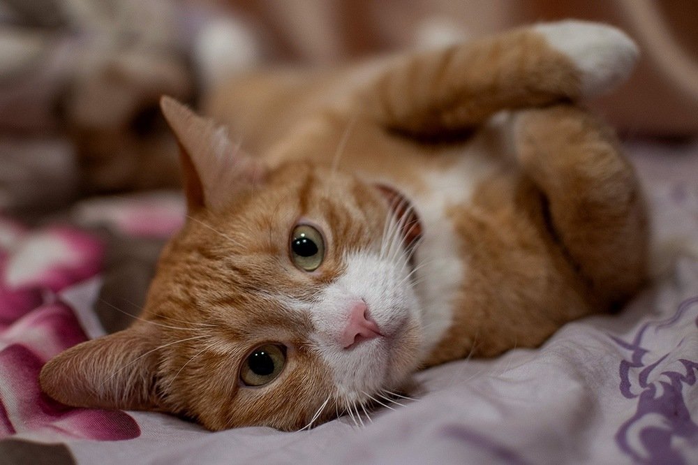 Photograph by Натали Раш