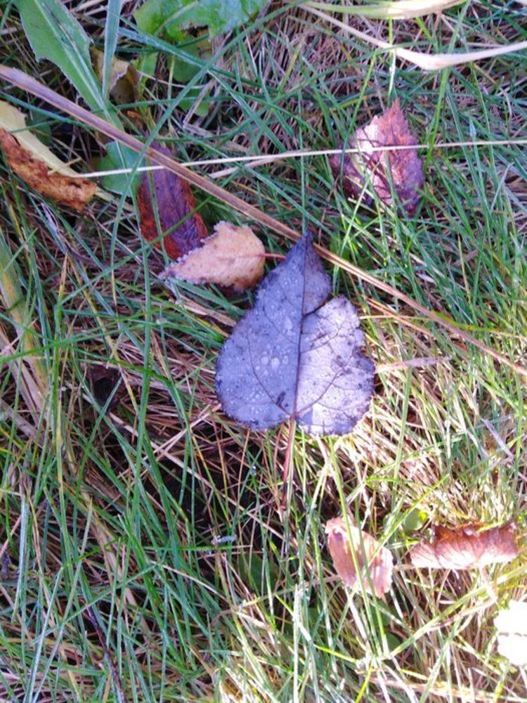 Photograph by Татьяна Ситникова