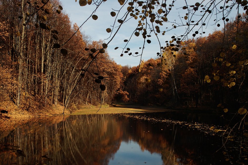Photo #5321348