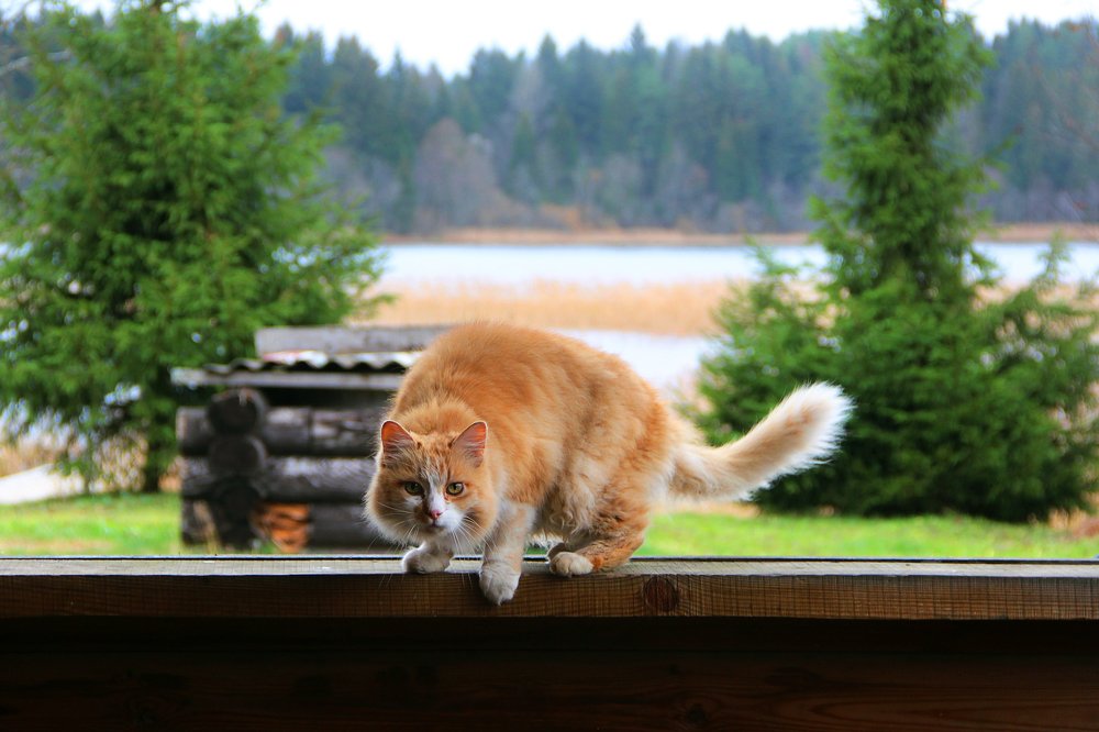 Photograph by Rustem Salakhatdinov