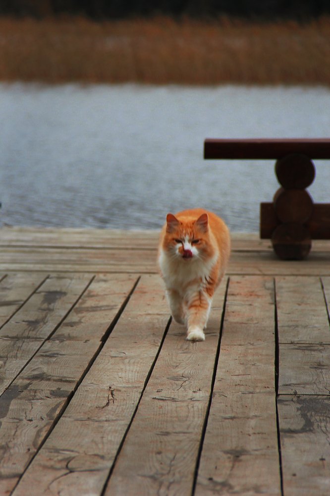 Photograph by Rustem Salakhatdinov