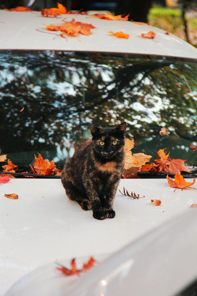 Photograph by Rustem Salakhatdinov