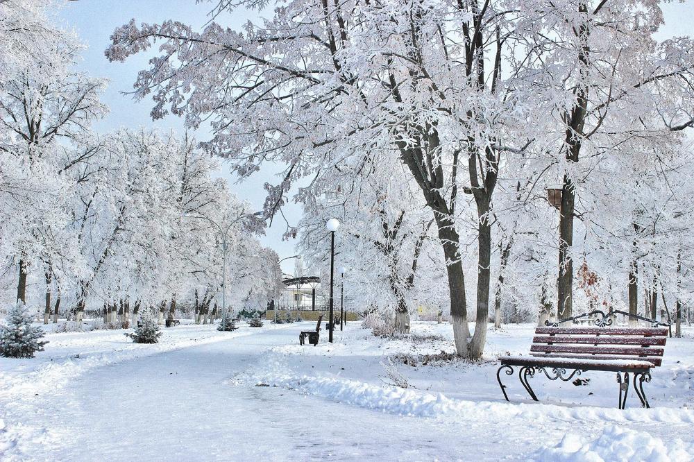 Первый снег, как первая любовь, Непорочный, ласковый и нежный....