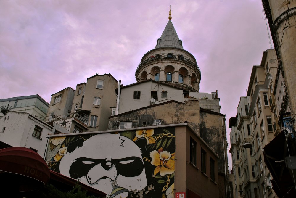 Photograph by Мария Горашова