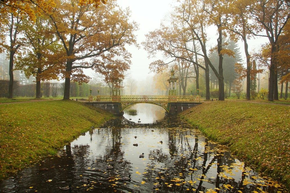 Photograph by Сергей Андреевич