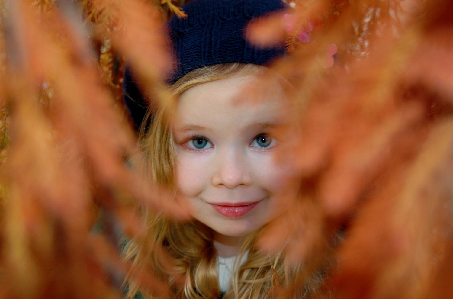 Photo #5321457
