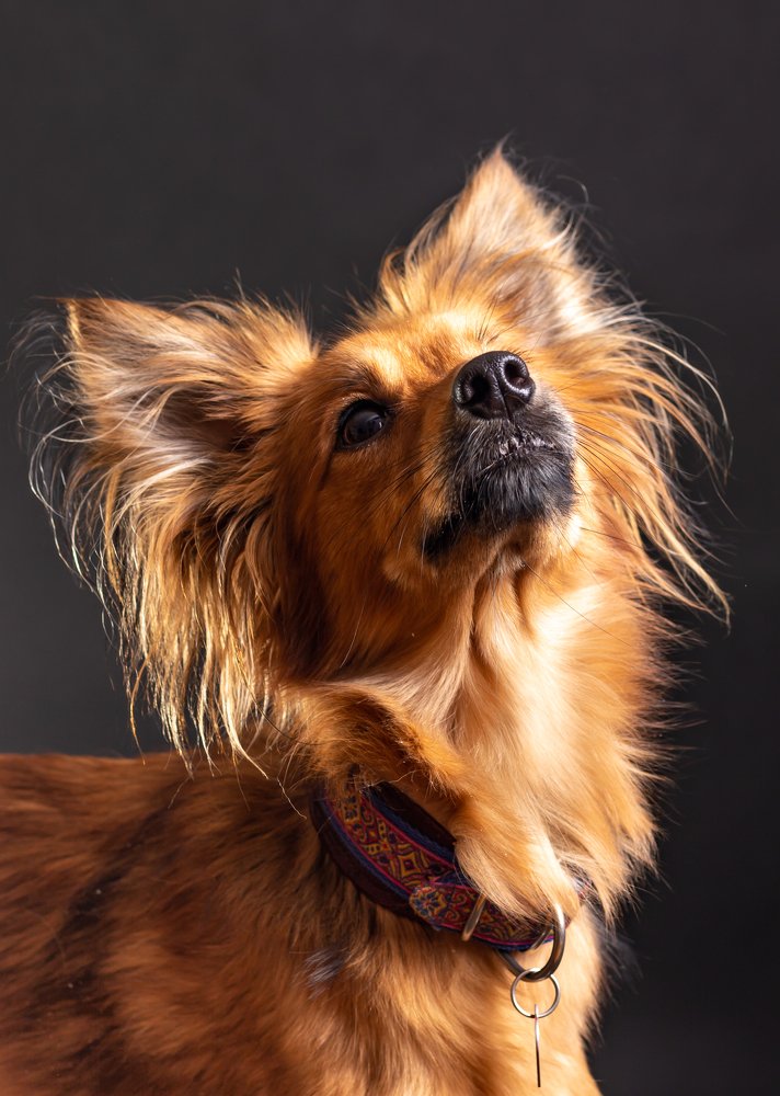 Photograph by Екатерина Коломеец