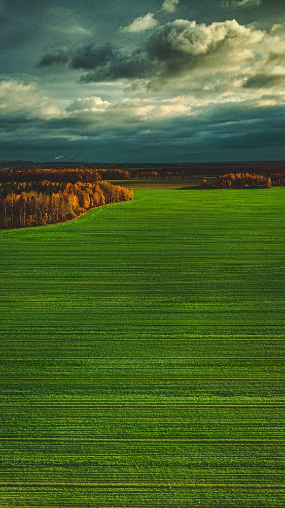 Photograph by Александр Гизун