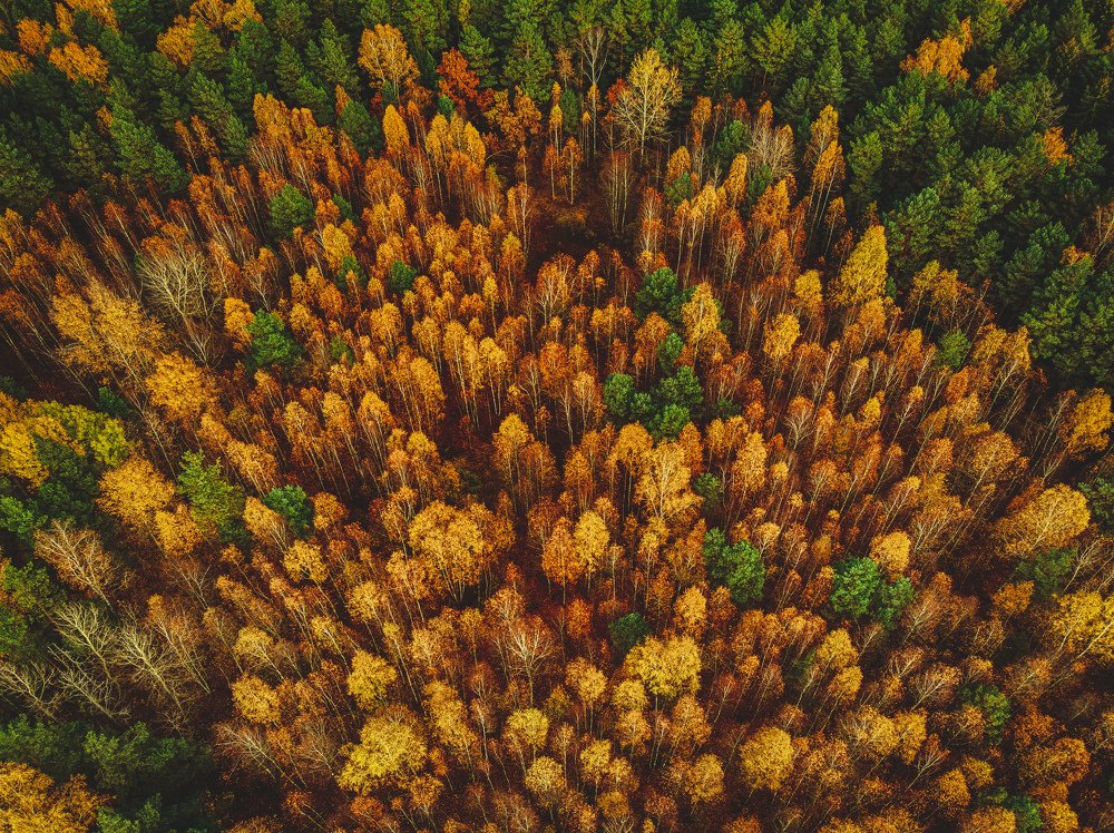 Photograph by Александр Гизун