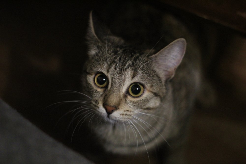 Photograph by Валерий Безбородов