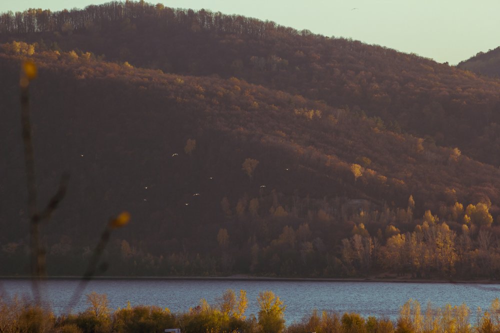 Photograph by Артем Карлов