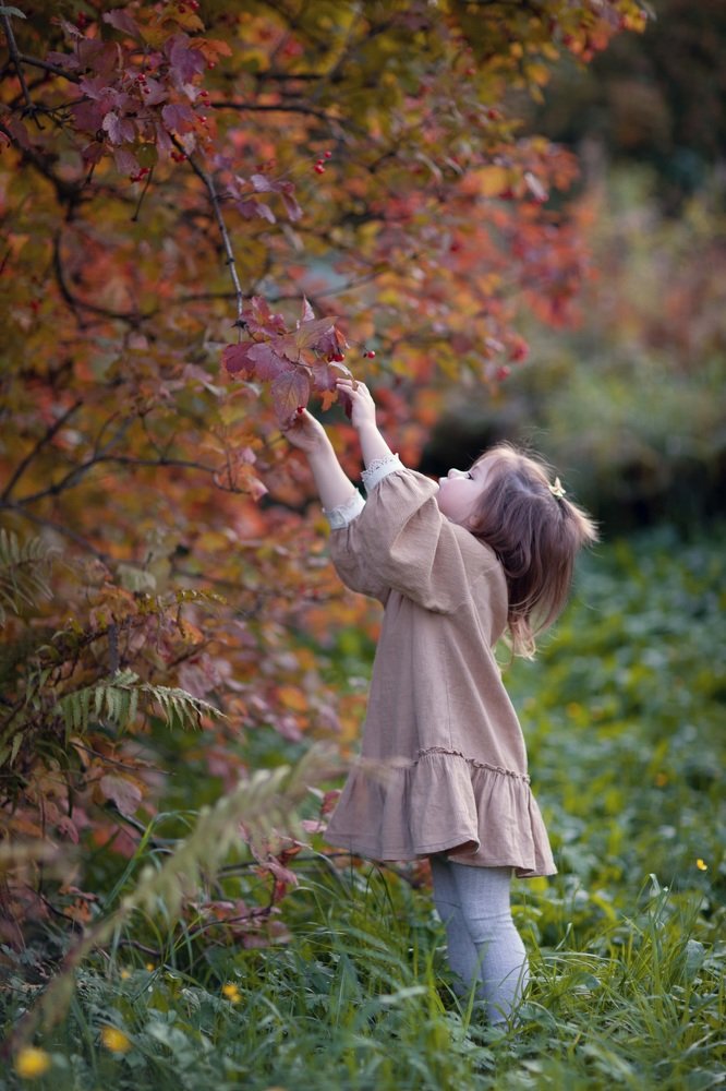 Осенние ягоды