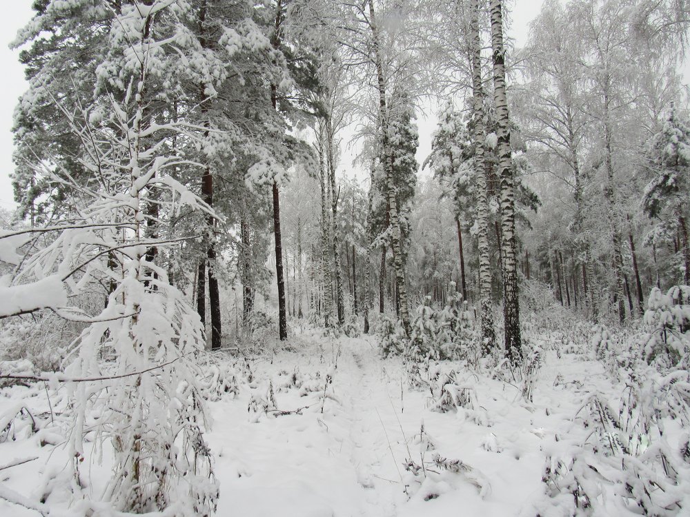 Photograph by Анна Кремешкова