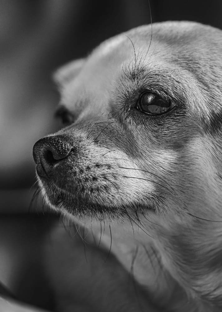 Photograph by Сергей Калинин