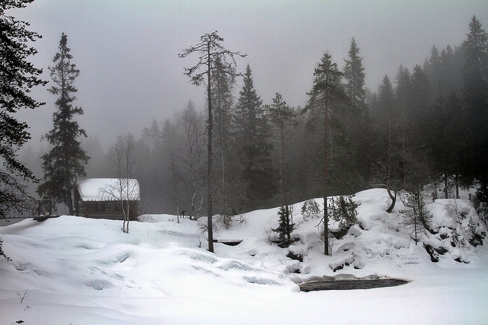 Photograph by Николай Шумилов