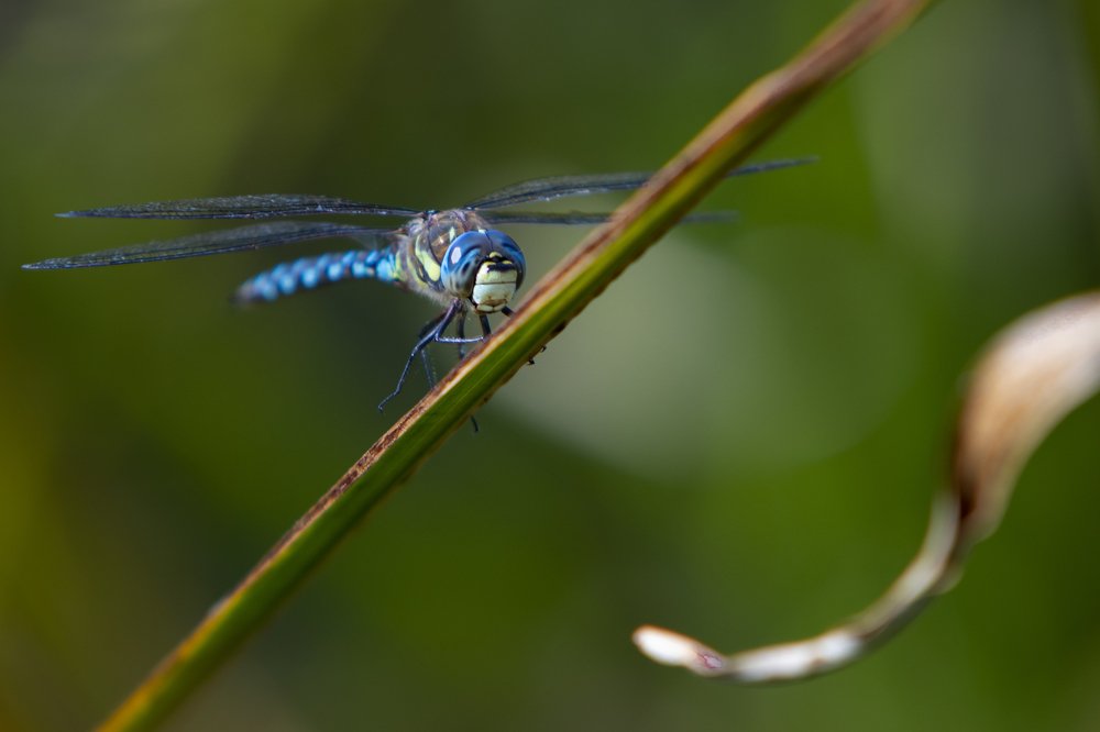 Photograph by Дмитрий Перских