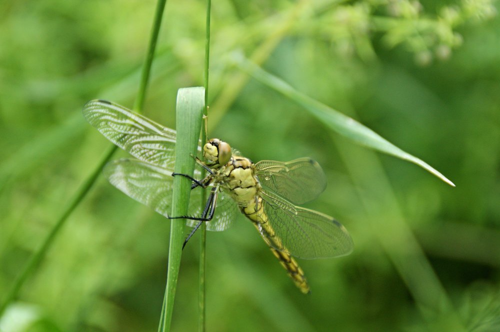 Photograph by Юрий Филицкий