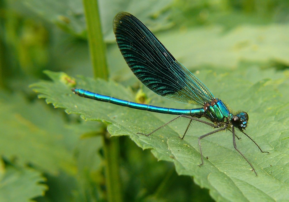 Photograph by Юрий Филицкий