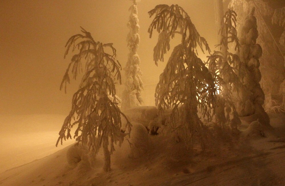 Photograph by Лада Денисова