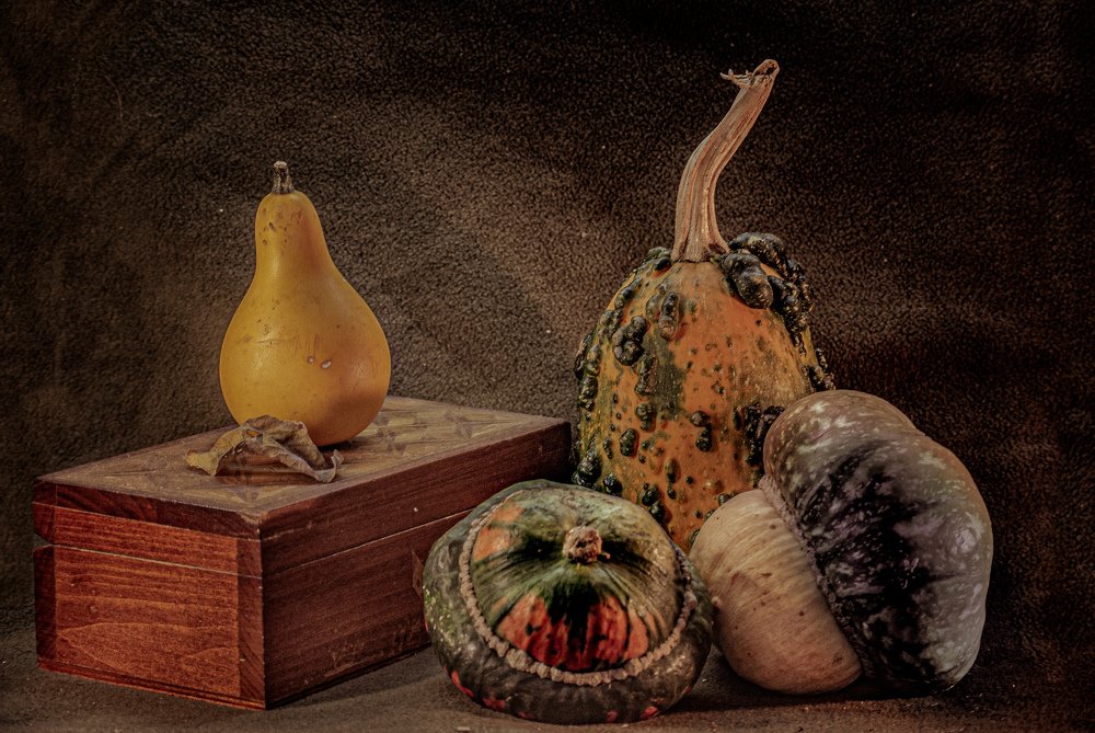 Натюрморт с тыквами