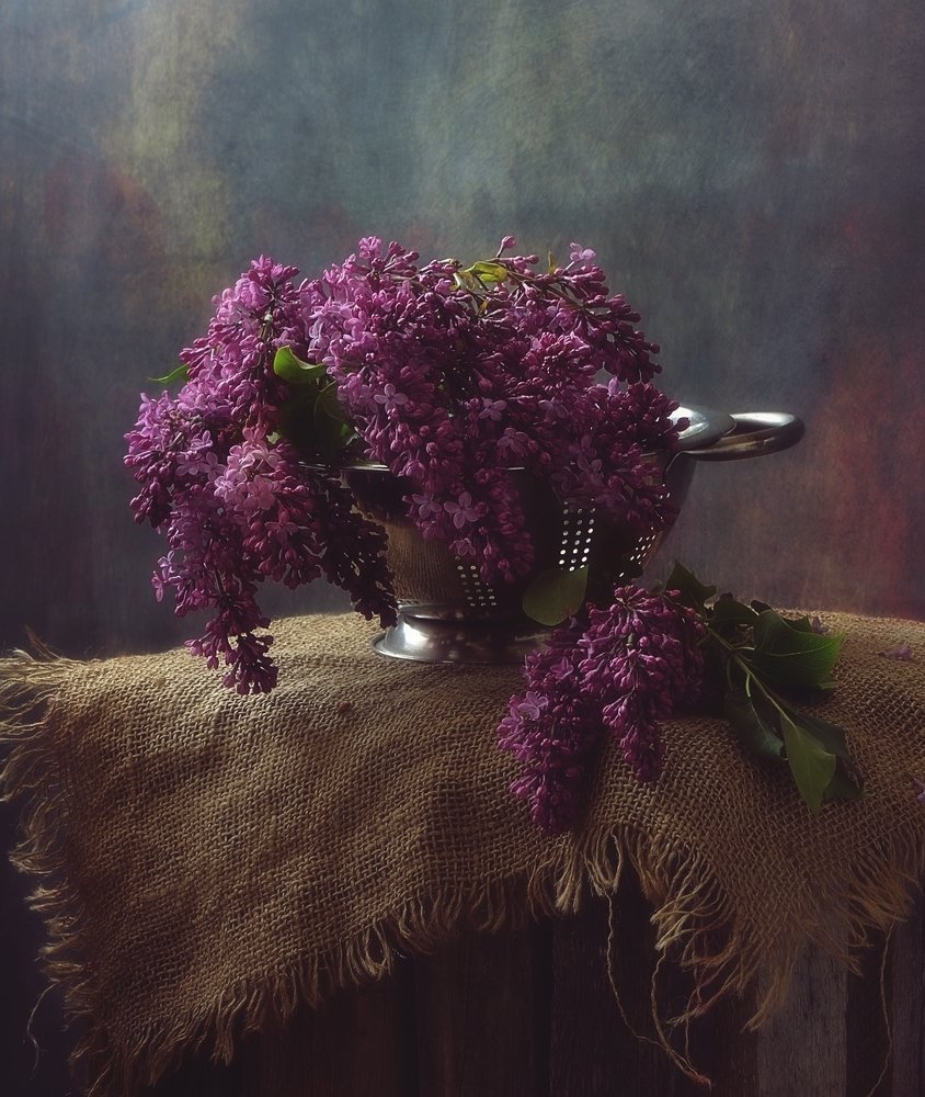 Photograph by Наталия К