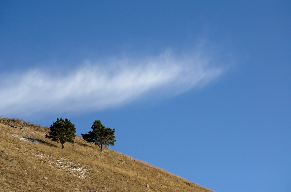 Photograph by Александр Шматков