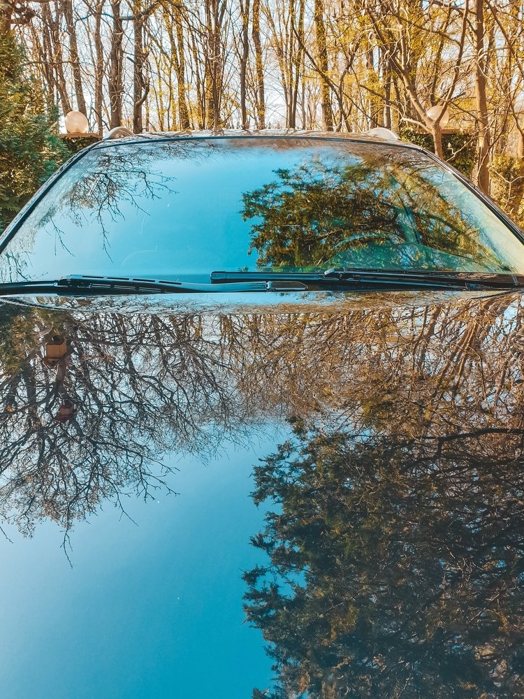 Photograph by Олена Захарченко