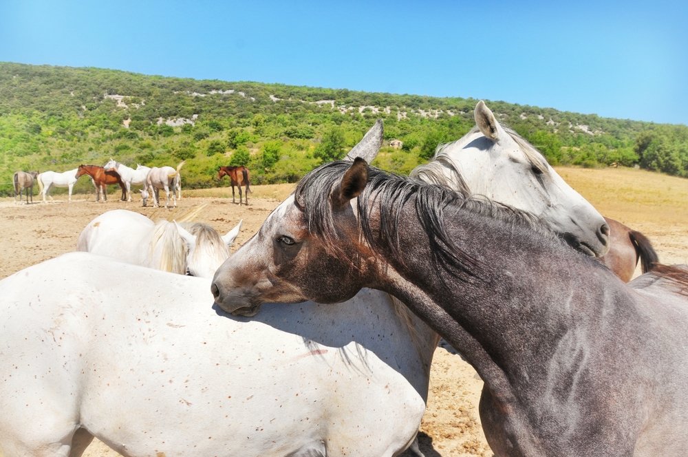 Photograph by Maria Chistova (Pasternak)