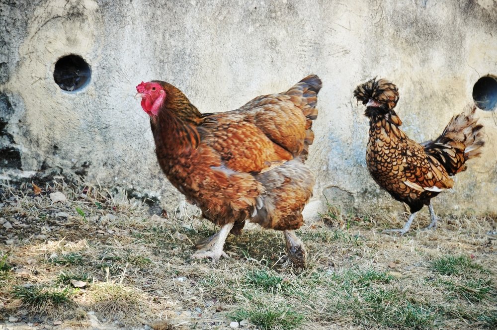 Photograph by Maria Chistova (Pasternak)