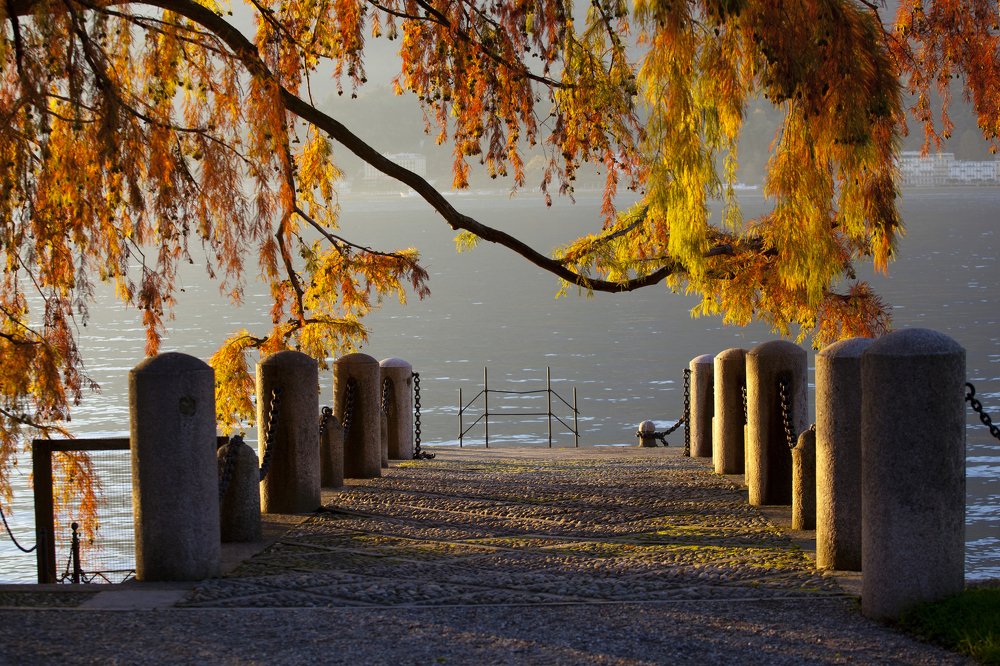 Photograph by Ольга Воронова