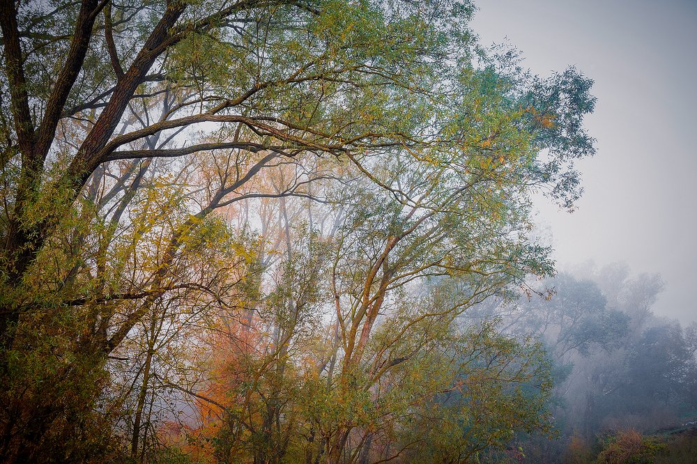 Photograph by Serhij Kharchenko