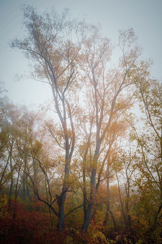 Photograph by Serhij Kharchenko