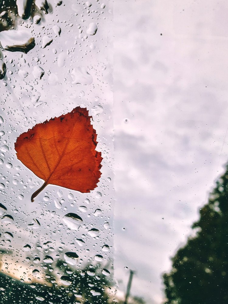 Photograph by Олена Захарченко