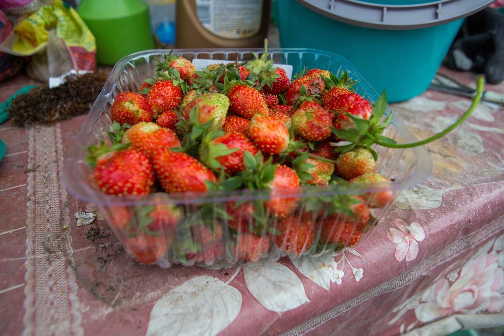 Фотография автора Михаил Бове