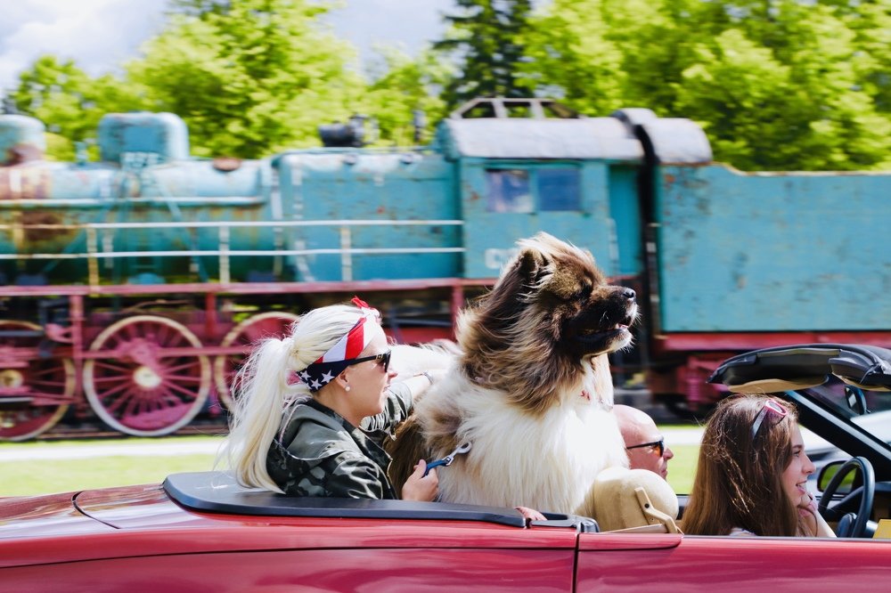 Photograph by Ксения Круглова