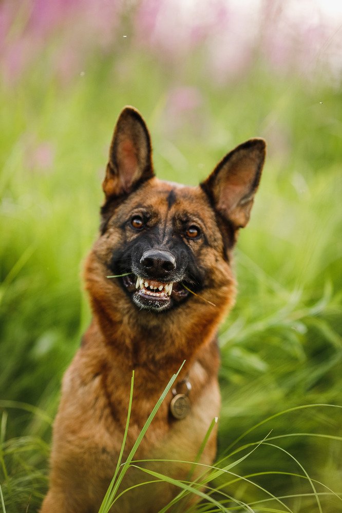 Photograph by Елена Горохова